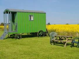 Halcyon - Shepherd's Hut