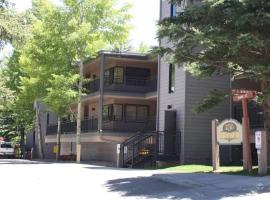 Gorgeous Aspen Condo By Lift Ski In out Parking，位于阿斯潘的酒店