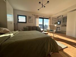 Loft Tower Sisseln，位于Eiken的酒店