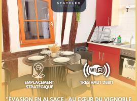 Le Cocon Alsacien au cœur de Rouffach，位于鲁法克的酒店