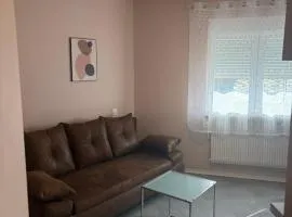 Solesmes splendide appartement