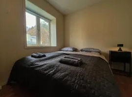 PARKEN CENTRAL - Downtown Home with 2BR, Balcony, Private Parking and Elevator