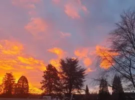 Ferienwohnung Kiefernwald