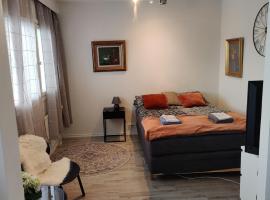 Mini-Studio in Center，位于瓦萨的酒店