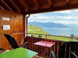 Lavaux nice place in Swiss French part，位于Rivaz的酒店