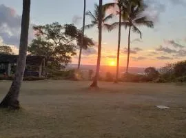 FAZENDA BOSQUE DAs PALMEIRAS