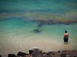 Yonegan Central Maui Getaways，位于怀卢库的酒店