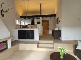 Landhaus-Wald-und-See-3