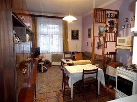 Flat in the heart of Decin close to via ferrata，位于Podmokly的酒店