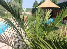 Le gite de lOlivier en Provence