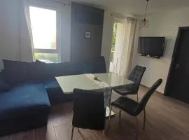 Синя пеперуда Blue butterfly