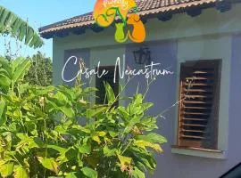 Azienda Agricola Neocastrum