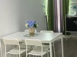 Premier Room and Studio Paka