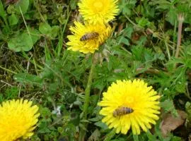 拉特米勒B＆B住宿加早餐酒店