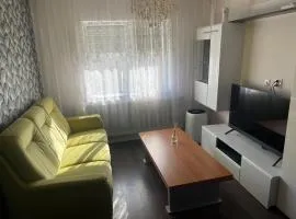 Newly renovated chic apartment close to downtown