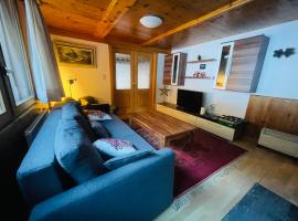 5 Zimmer-Wohnung mit Garage und Sauna，位于圣尼克劳斯的酒店