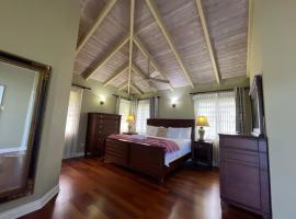 Luxury Spacious Villa with Aircon and Pool Table，位于Olveston的酒店