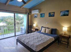 Yonegan Plumeria Hilo Hotel，位于希洛的酒店