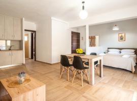 NT Studio，位于伊古迈尼察的酒店