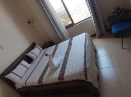 Birhanu Guest House
