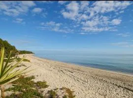 VERANU - Vue campagne- 5 mn de la plage de sable