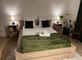 Triplex à La Roche de Glun，位于拉罗克德格兰的酒店