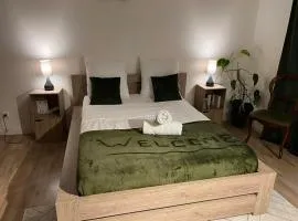 Triplex à La Roche de Glun