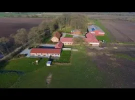 提斯图普经济型酒店（客房&早餐）