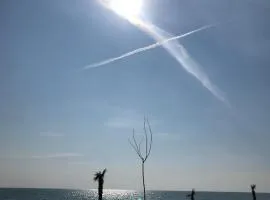 ioanikos sunshine