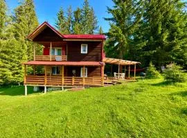Cosy wooden house in the heart of Apuseni.