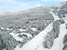 Luxury 2-Bed Whistler Village