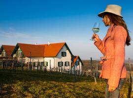 Weinresidenz am Eisenberg，位于德普因-艾森伯格的酒店