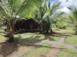 La Cabaña Río Celeste，位于Rio Celeste的酒店