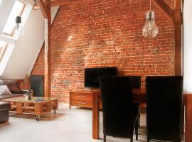 Apartamenty Młyńska 4，位于格利维采的酒店