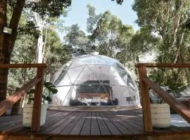 RESET Tallebudgera Valley