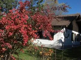 Ferienhaus Gamssteige im Feriendorf Reichenbach G32