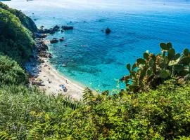 A Due Passi da MicheIino