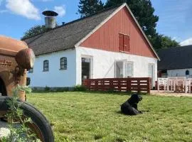 Dambækgaard Sustainable Farm