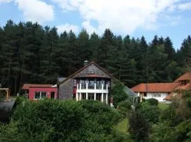 Forest Haven