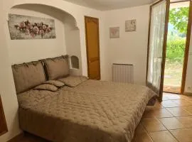 Studio Romance dans la nature