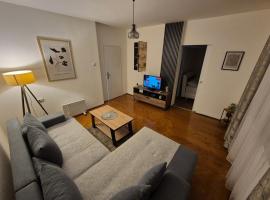 Apartman Stojanovic，位于弗拉涅的酒店
