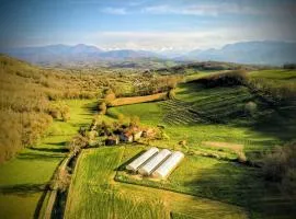 Le Champ des Grenouilles - gîte écologique à la ferme