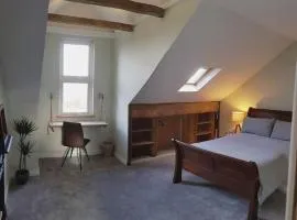 Self-contained Attic Flat, 15 mins from the centre