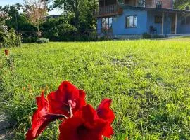 Isabella Kırsal Yaşam Evi