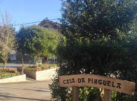 Casa da Pinguela Camino Inglés，位于Ordes的酒店