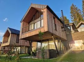 Chalet STRÖMY Demänovská dolina