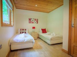 Fern Gully Lodge with Hot Tub - Spa Resort - Devon，位于查德利的度假村