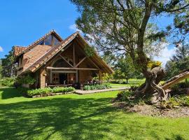 Rustic, 6BR Chalet on Beautiful Estate，位于里奥内格罗的酒店