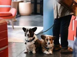 Hotel Indigo Barcelona Plaza Espana by IHG