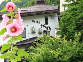 哈图谷鲁玛川端酒店，位于野沢的酒店